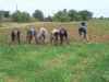agriculteurs-soninke agriculteurs-soninke