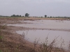 fleuve-senegal-decrue