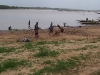 rive-fleuve-senegal