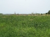 roches-du-fleuve-senegal