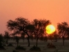 coucher-soleil-diawara