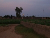 diawara