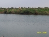 fleuve-senegal