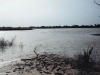 fleuve