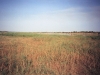 folo-walo-colanga