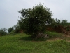 khile-savane-senegal
