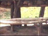 miradors-soninke