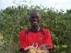 samba-tamba