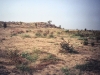 steppe-2