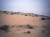 steppe steppe
