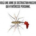 paludisme-arme-de-destruction-massive